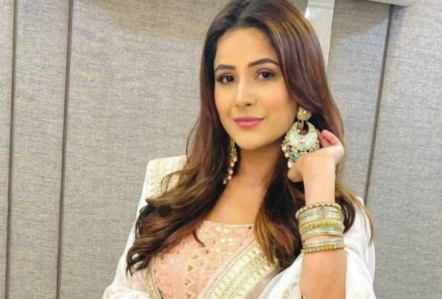 Shehnaaz Gill claps back at dating rumours
