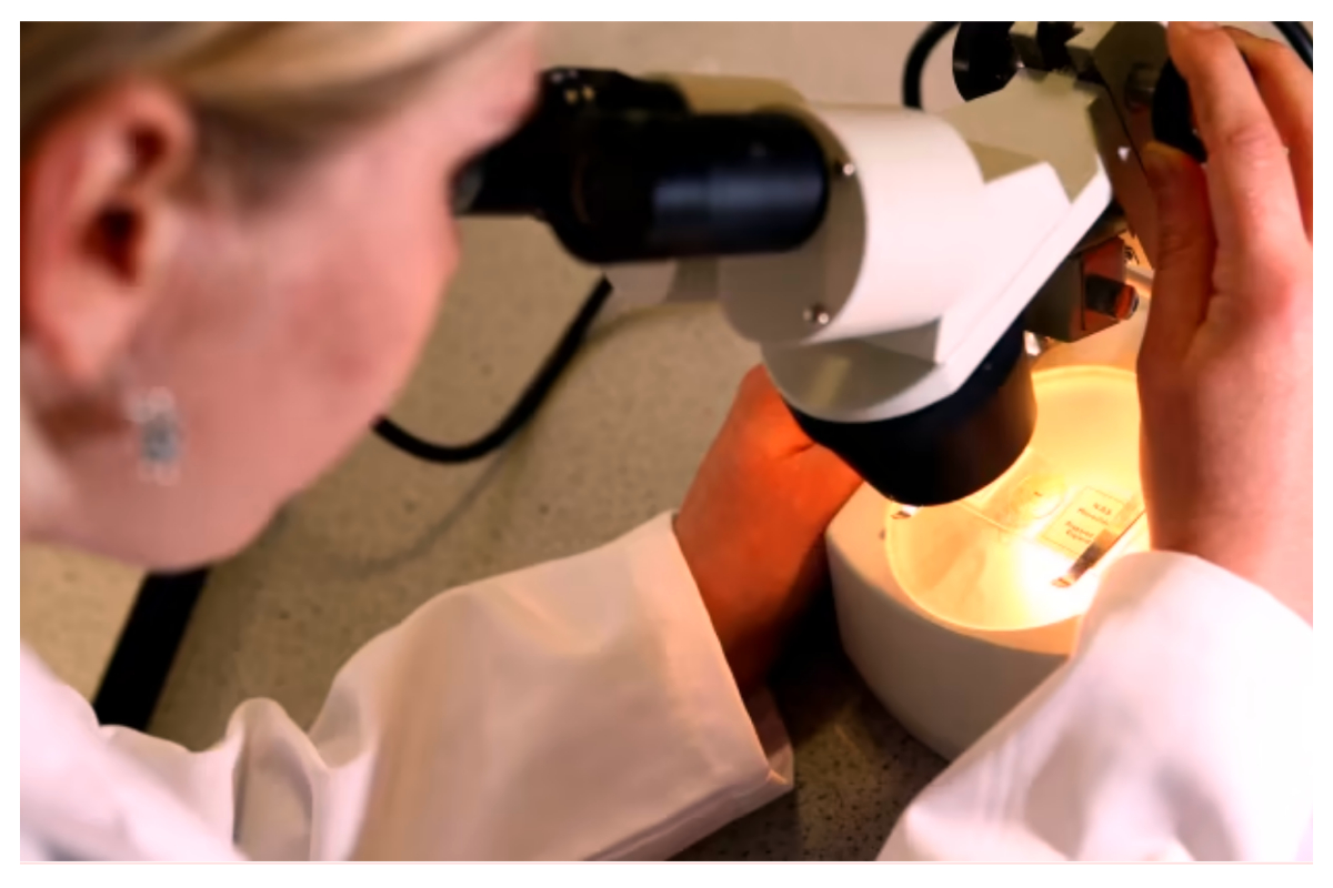 UEA and Imperial College's new prostate cancer test may help black men