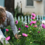 England will reduce number of caregivers needed in nurseries