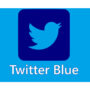 Twitter Blue costs $4.99 per month, up from $2.99