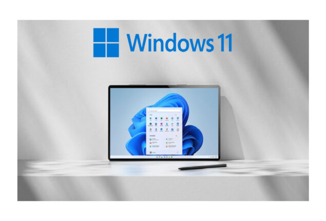 Microsoft releases Windows 11 build 22621.317 with patches