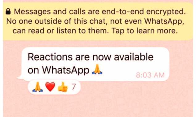 You now have more emojis to use on WhatsApp
