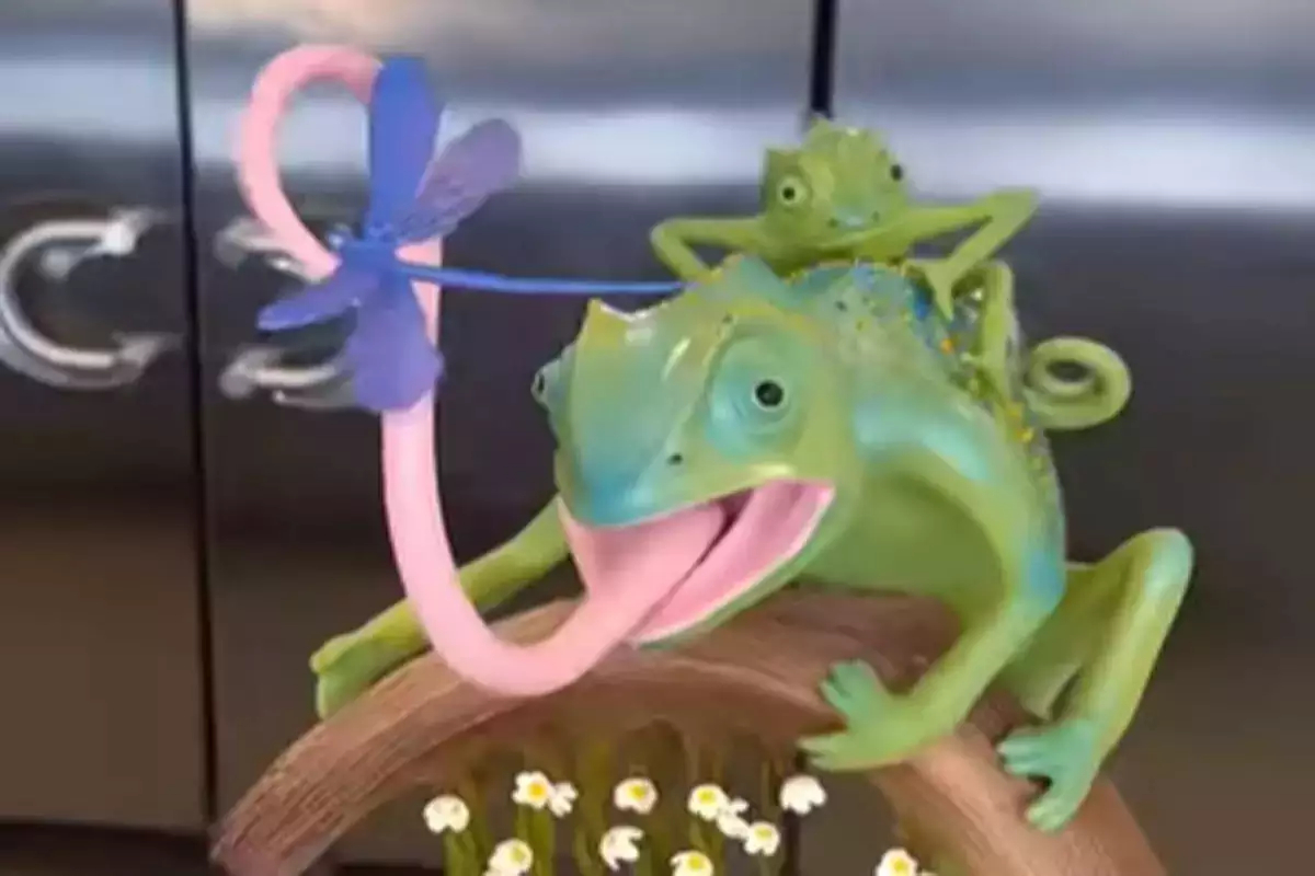 chameleon chocolate