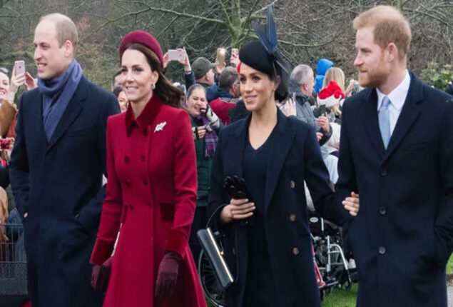 Prince Harry is urged by Meghan to start a new feud with Charles