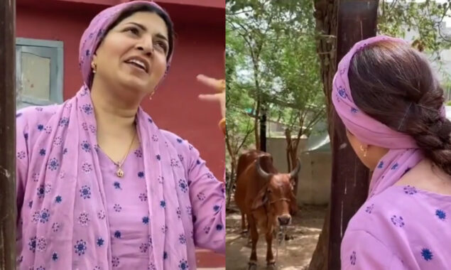 Shagufta Ejaz make hilarious video on fuel pricing