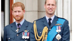 Prince William and Prince Harry