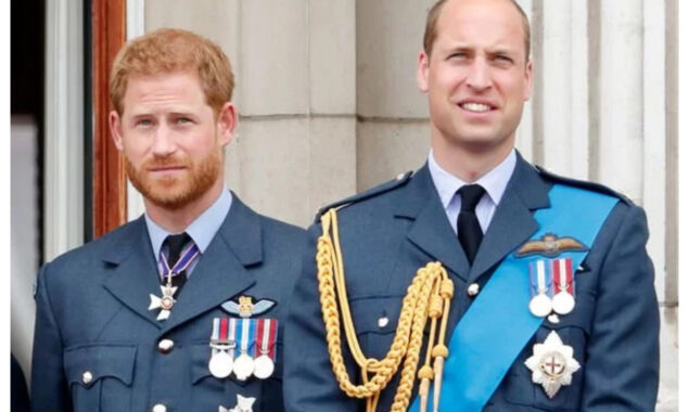 Prince William and Prince Harry