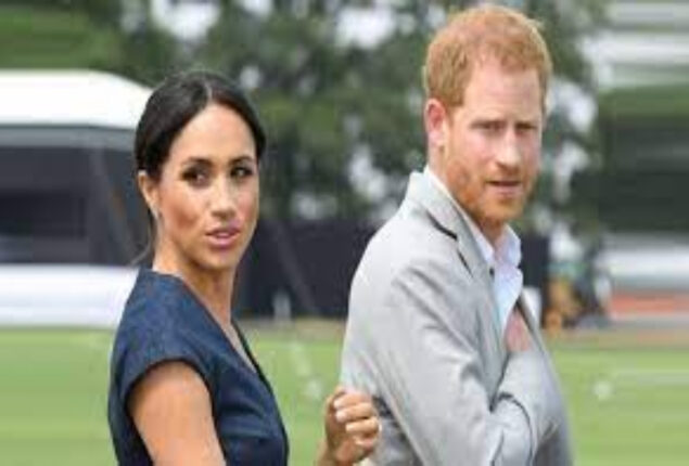 Prince Harry and Meghan are charged with aiming to lead a modern royal