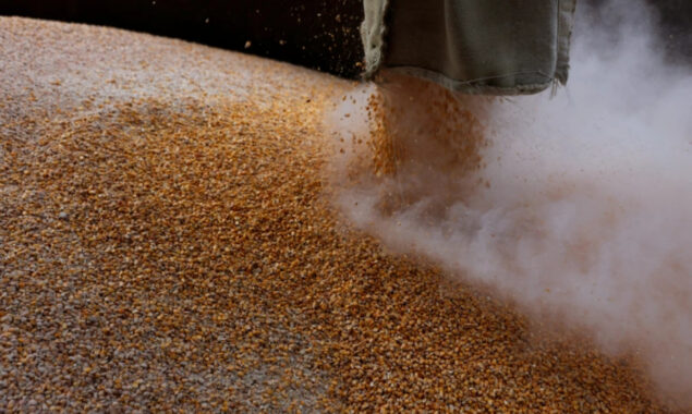 Russia ,Ukraine attempt to resolve Turkey’s grain crisis