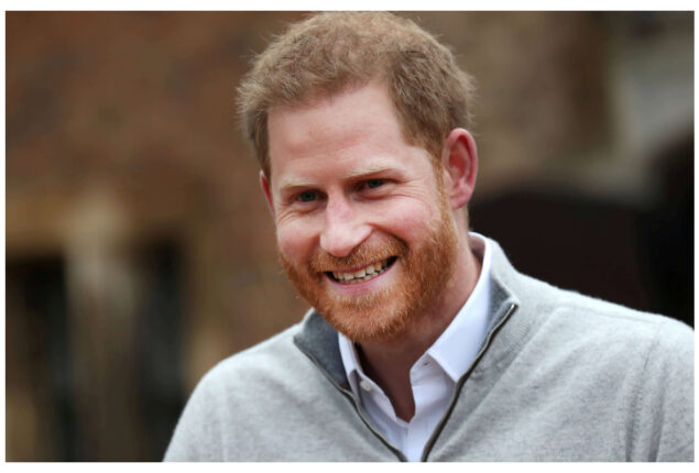 Prince Harry relevance after royal responsibilities