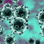 Covid-19: Pakistan reports one death, 656 new infections
