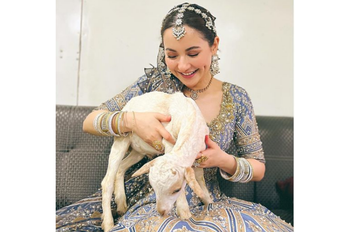 Hania Aamir