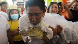 mayor marries alligator