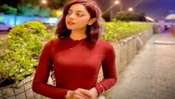 Alizey Shah features in Ali Tariq’s new song Raabte