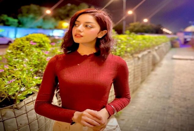 Alizey Shah features in Ali Tariq’s new song Raabte