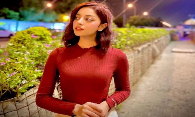 Alizeh Shah is once again facing trouble due to this!