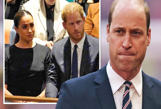 Prince Harry “updated his phone number without alerting the Royal Family”