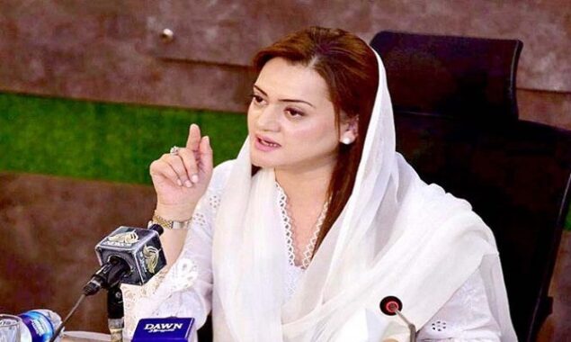 Ayaz Sadiq, Khawaja Salman resign from ministries to participate in election campaign: Marriyum