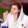 Marriyum condemns ‘vindictive actions’ against Aleem Khan, Shoaib Siddiqui