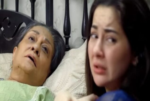 Mere Humsafar’s latest episode makes audience emotional