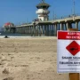 Huntington Beach Coastline Saw a Shark