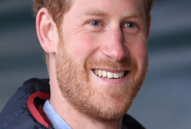 Prince Harry paying for freedom comments Royal expert Daniela Elser