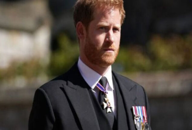 Prince Harry blasted for environment lecture at UN