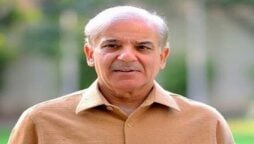 Govt to announce national solar policy on Aug 1, says PM Shebaz