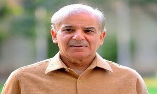 Govt to announce national solar policy on Aug 1, says PM Shebaz