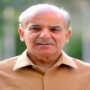 Govt to announce national solar policy on Aug 1, says PM Shebaz
