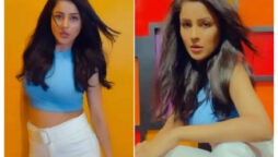 Shehnaaz Gill turns the glam game on for jaw-dropping photoshoot in her crop top, Wide Leg Pants