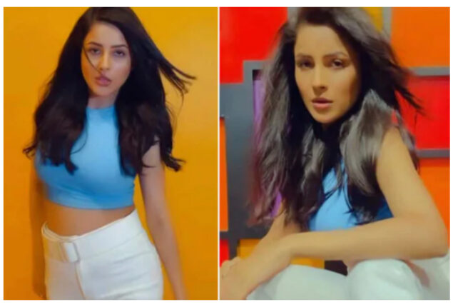 Shehnaaz Gill turns the glam game on for jaw-dropping photoshoot in her crop top, Wide Leg Pants