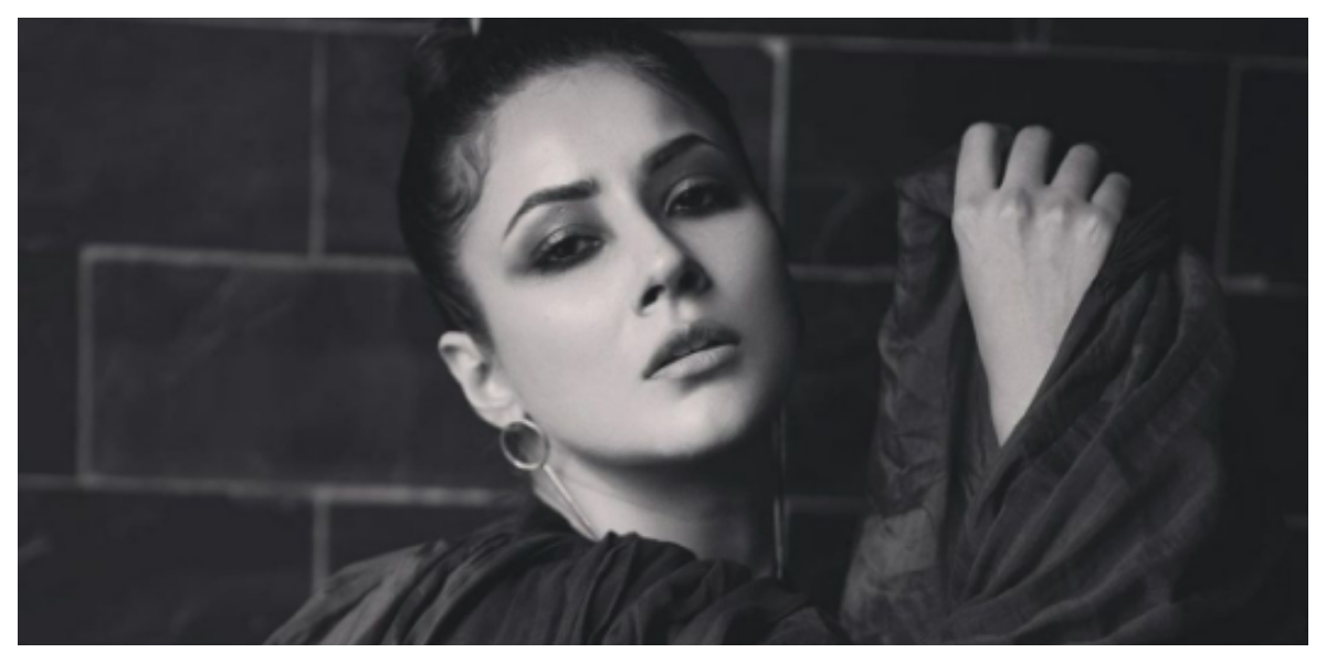 Shehnaaz Gill's latest monochromatic picture has grabbed fans attention