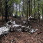After the plane crash, Michigan authorities say, there “appears to be no survivors”