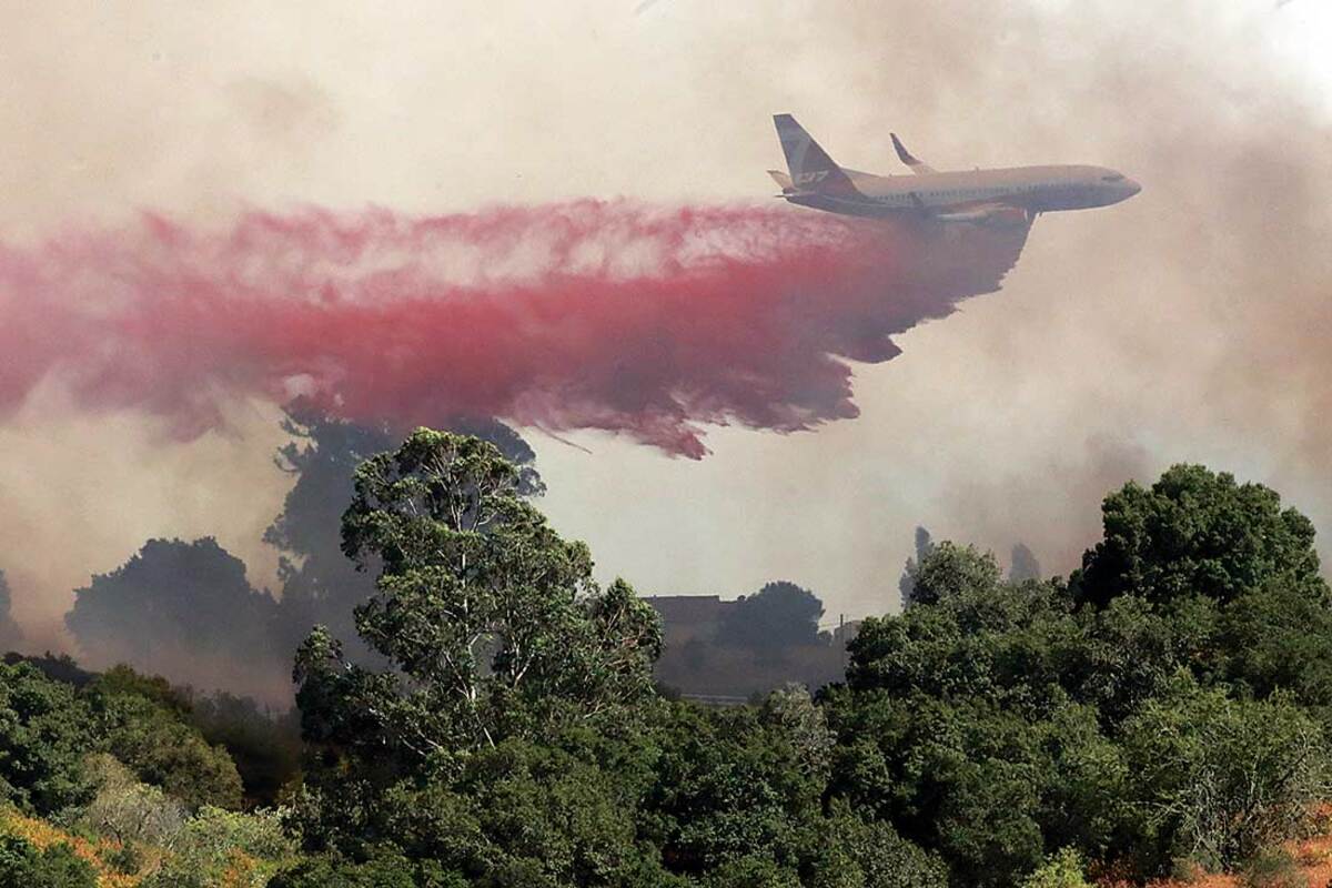 Wildfire