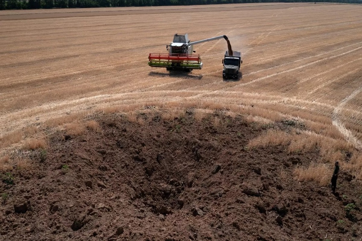 harvest
