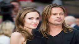 Château Miraval winery case involving Brad Pitt and Angelina Jolie is expected to become more complicated