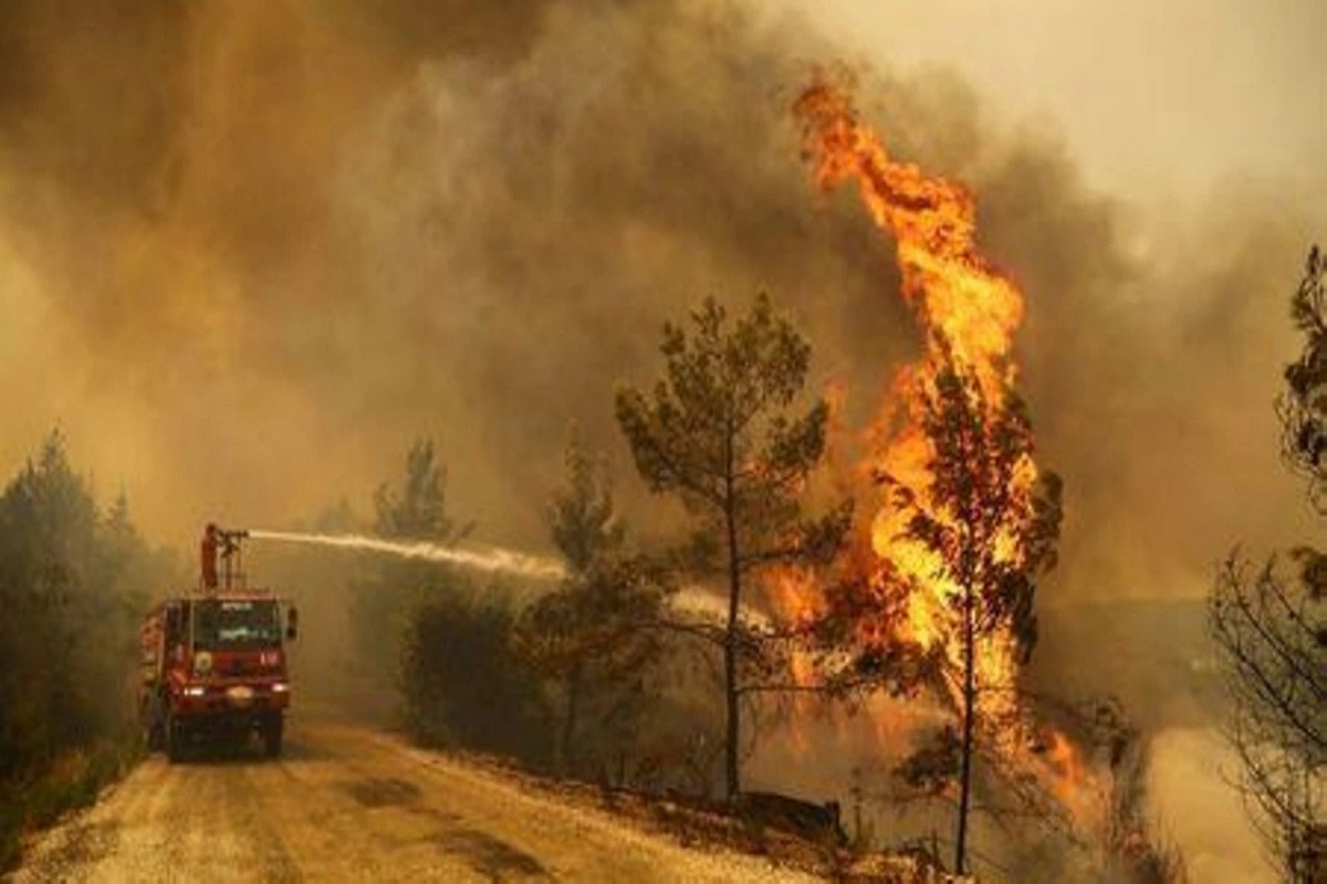wildfires