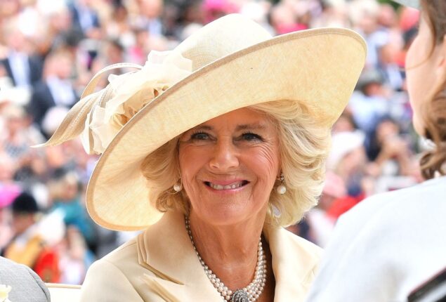Camilla says it’s a nightmare grandkids can’t ‘look you in the face.’