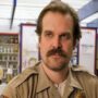 David Harbour believed that “Stranger Things” wouldn’t attract any viewers