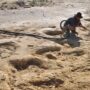 Over a thousand dinosaur footprints discovered in small Chilean town