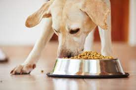 Dog food air bnb