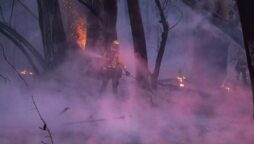 wildfire
