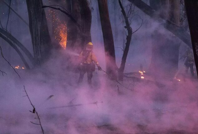 wildfire