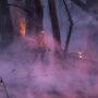 Thousands evacuated as California wildfire grows