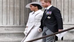 Meghan Markle insisted Prince Harry compare her hardships with late Princess Diana’s in new book