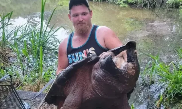 Fisherman in Texas nets a large alligator snapping turtle