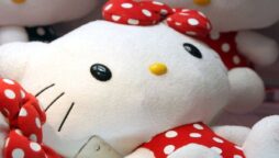 After becoming viral, Hello Kitty company signs a partnership with China