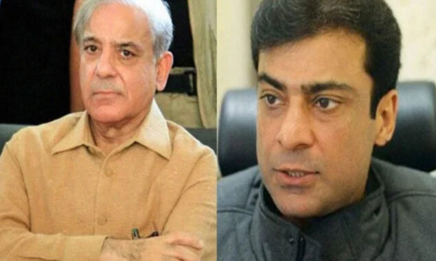 PM Shehbaz, Hamza skip court hearing in two references