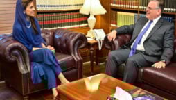 US Ambassador calls on MOS Hina Rabbani Khar